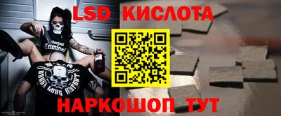 индика Долгопрудный