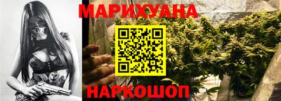 индика Долгопрудный