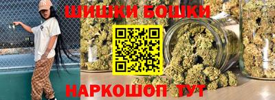индика Долгопрудный