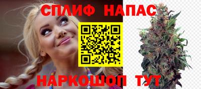 индика Долгопрудный