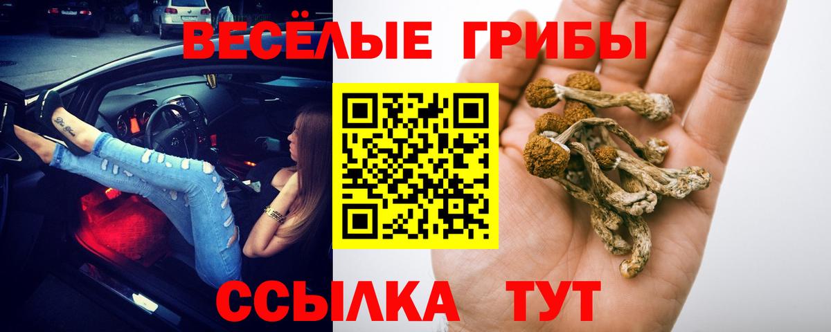 Галлюциногенные грибы GOLDEN TEACHER Выборг