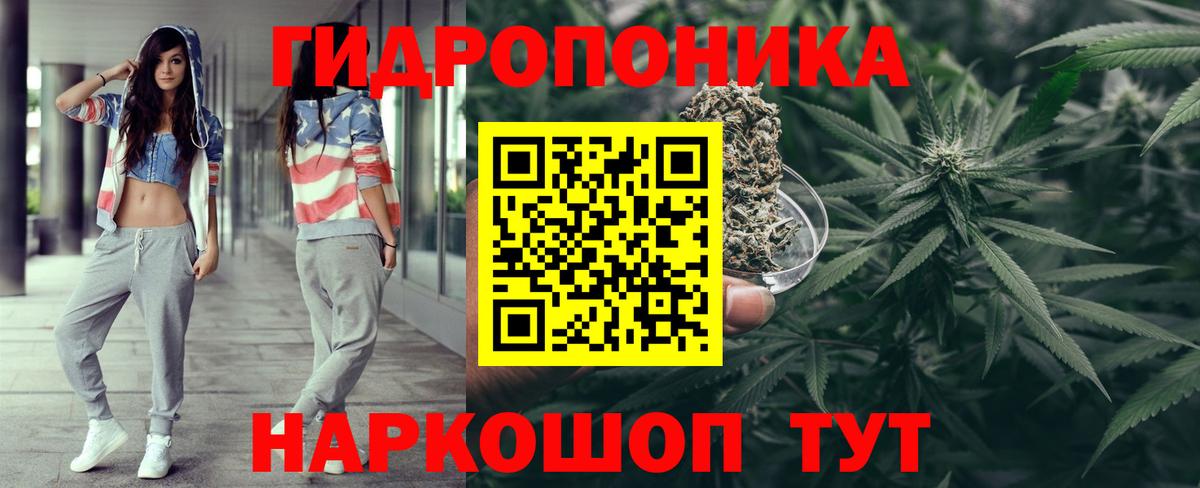 Бошки Шишки ГИДРОПОН Выборг